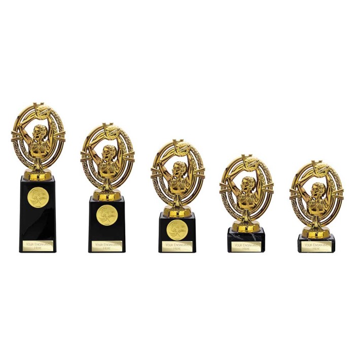 MAVERICK LEGEND NETBALL RESIN TROPHY - 5 SIZES - 125MM - 200MM
